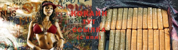 apvp Ладушкин