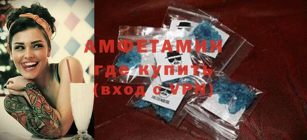 гидра Ачинск